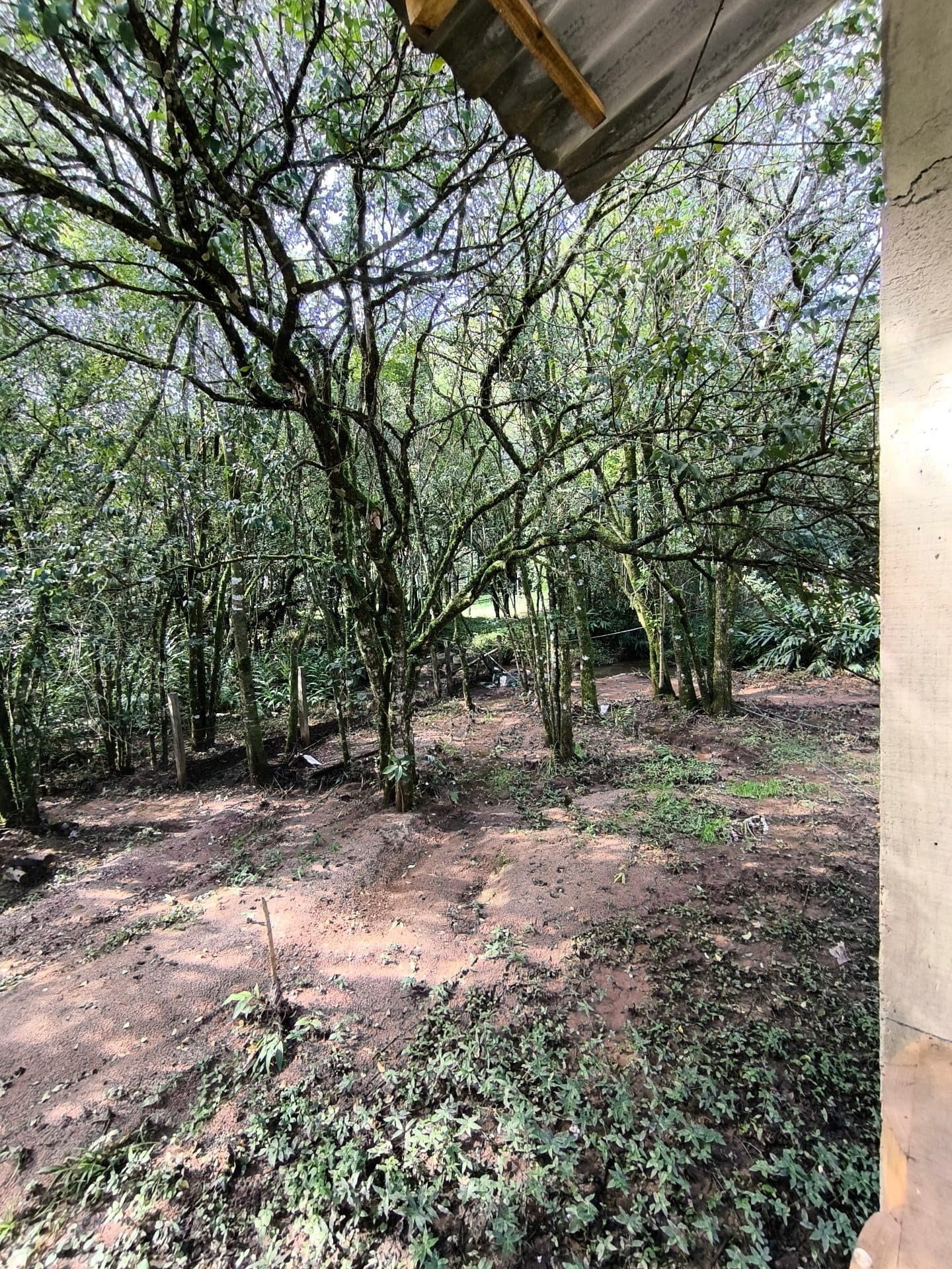 Casa para Venda