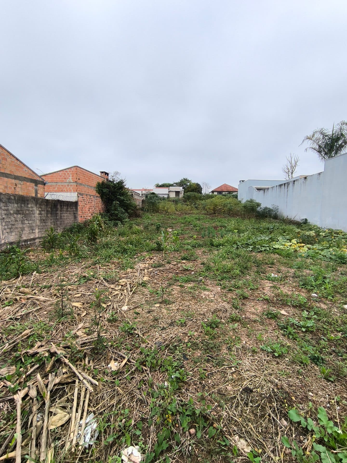 Terreno na morada do sol ☀️