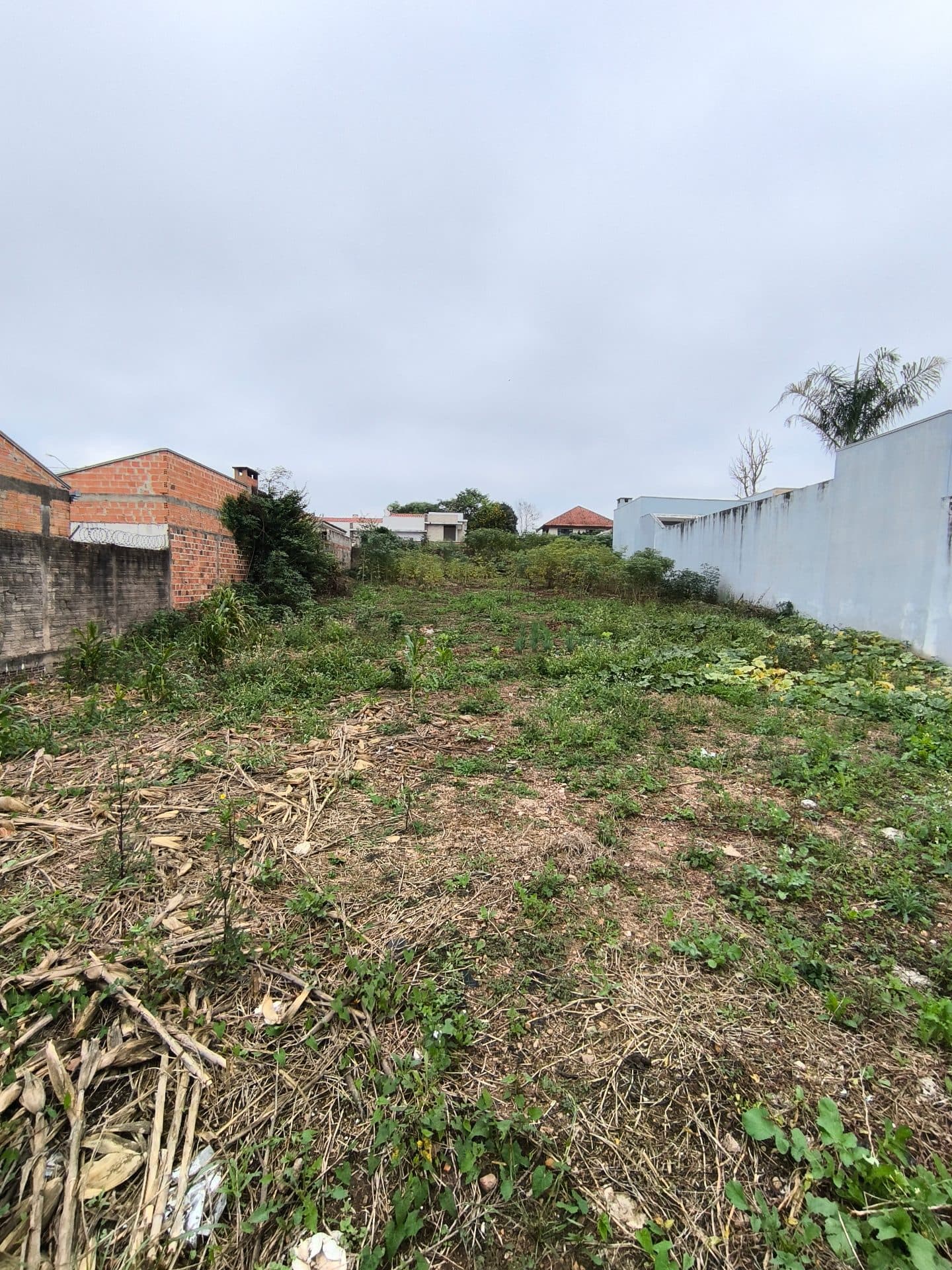 Terreno na morada do sol ☀️