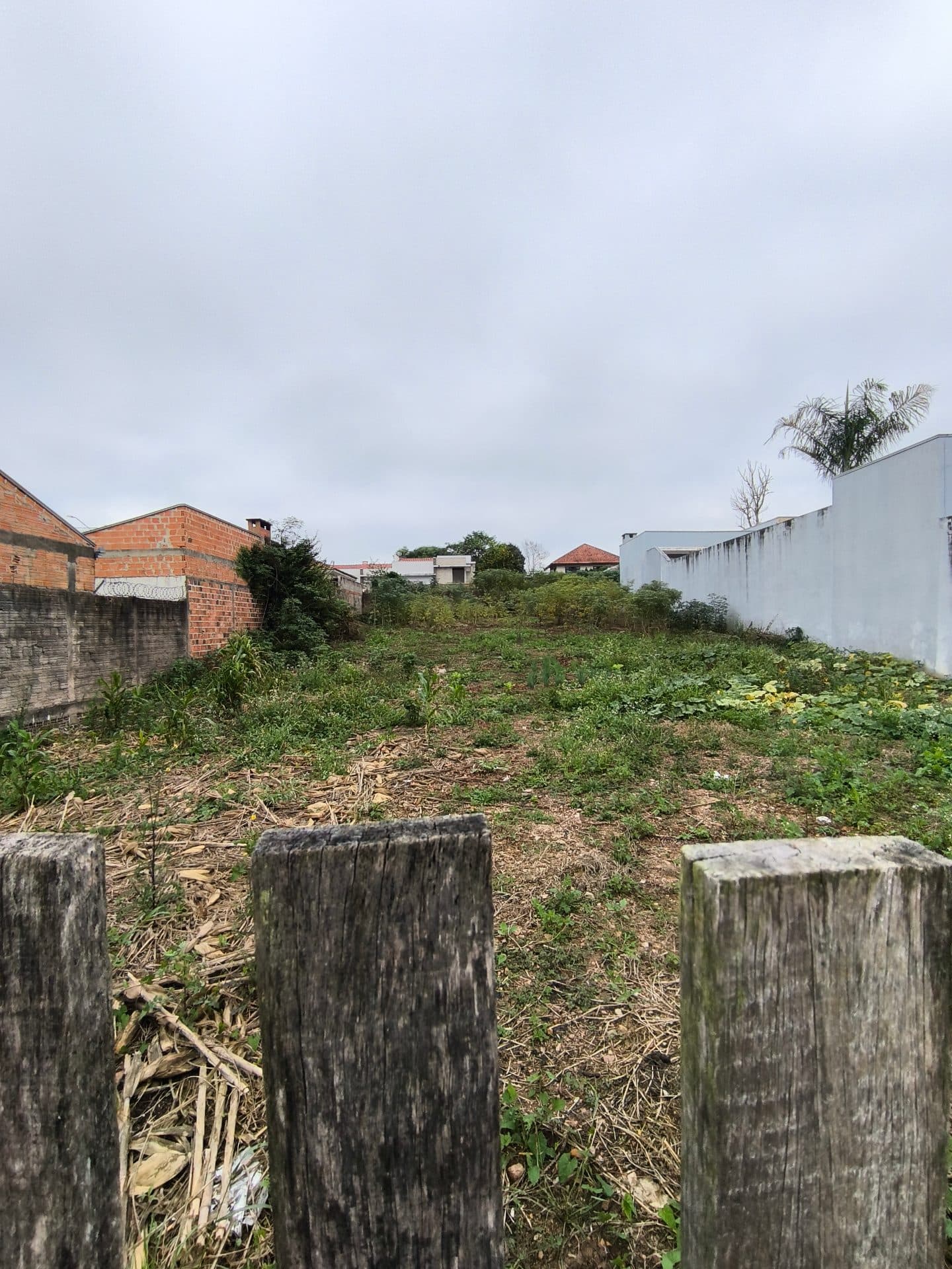 Terreno na morada do sol ☀️