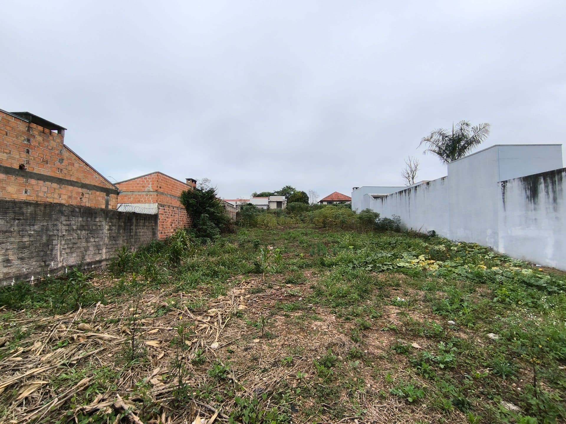 Terreno na morada do sol ☀️